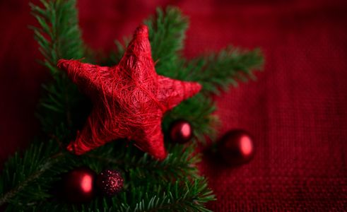 Festive Red Star — 100-piece jigsaw puzzle