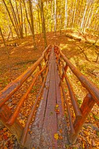 Autumn Forest Bridge — 500-piece jigsaw puzzle
