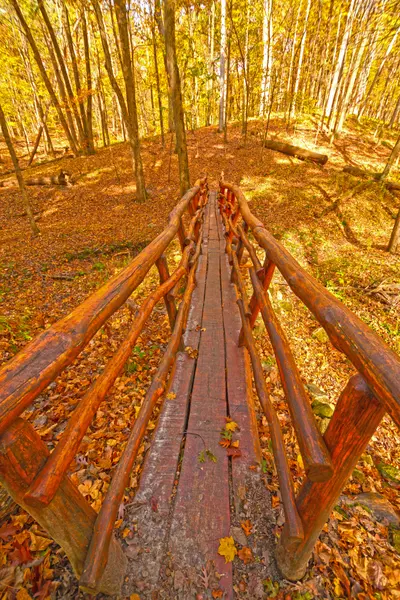 Autumn Forest Bridge — 500-piece jigsaw puzzle