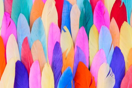 Vibrant Feather Symphony — 300-piece jigsaw puzzle