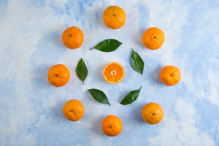 Citrus Harmony — 100-piece jigsaw puzzle