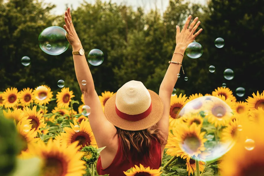 Joyful Sunflower Field — 500-piece jigsaw puzzle