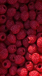 Lush Raspberries — 150-piece jigsaw puzzle