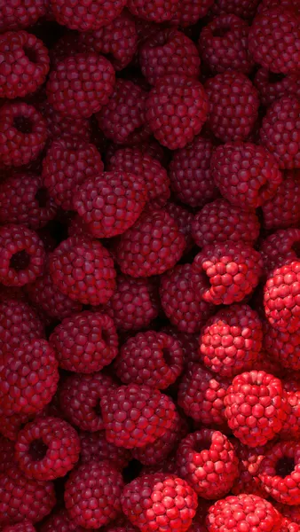Weelderige frambozen — 150-stukjes legpuzzel