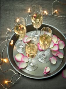 Champagne Celebration — 100-piece jigsaw puzzle