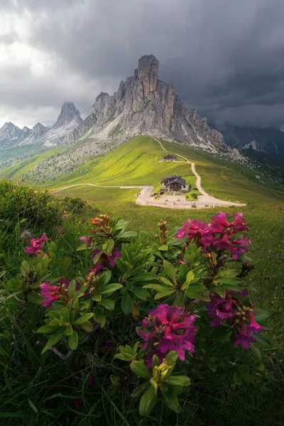 Fiori alpini e cime — puzzle da 400 pezzi