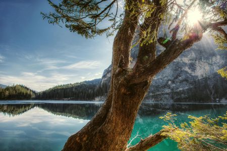 Serene Lakeside Reflection — 500-piece jigsaw puzzle
