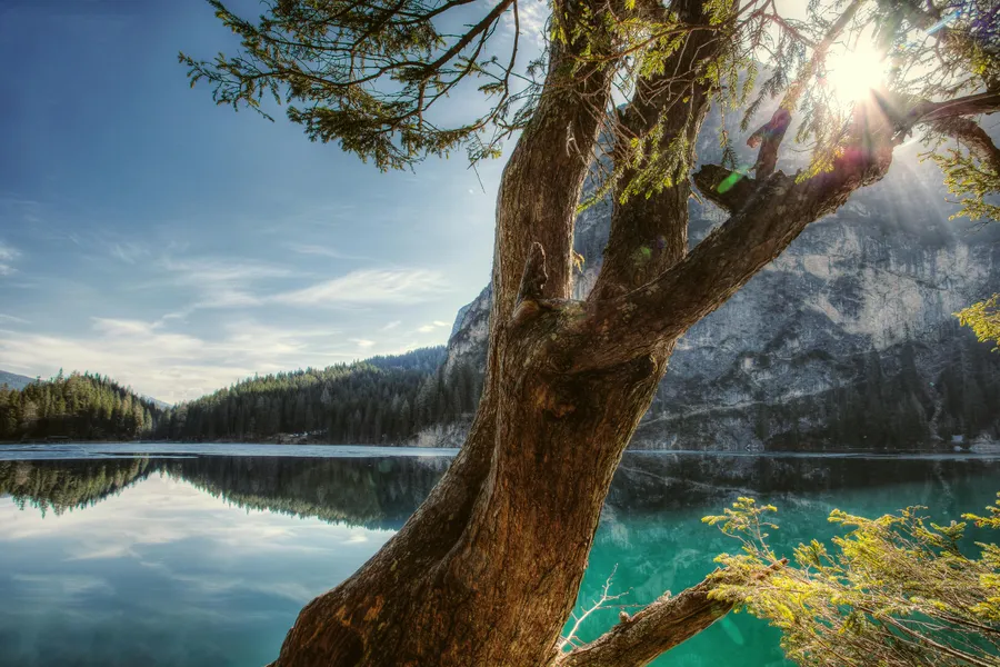 Riflesso sereno sul lago — puzzle da 500 pezzi