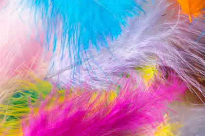 Vibrant Feather Symphony — 300-piece jigsaw puzzle