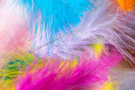 Vibrant Feather Symphony — 300-piece jigsaw puzzle