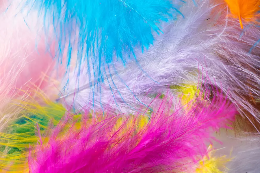 Vibrant Feather Symphony — 300-piece jigsaw puzzle