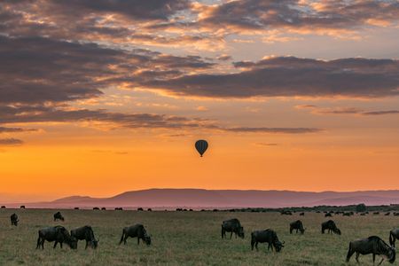 Balloon Over Savannah — 400-piece jigsaw puzzle