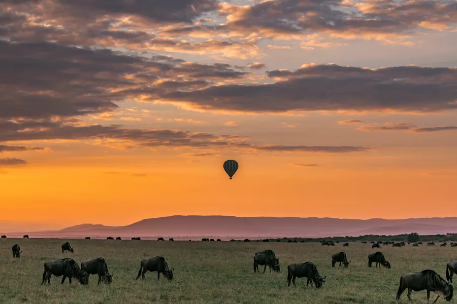 Balloon Over Savannah — 400-piece jigsaw puzzle