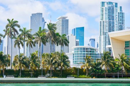 Tropical Cityscape — 64-piece jigsaw puzzle