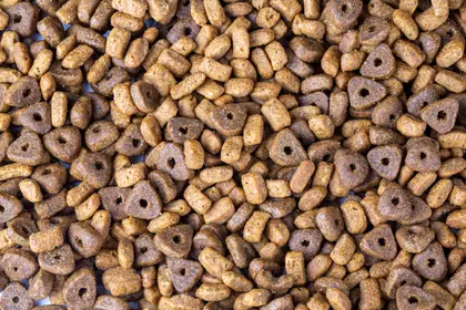 Crunchy Pet Kibble — 150-piece jigsaw puzzle