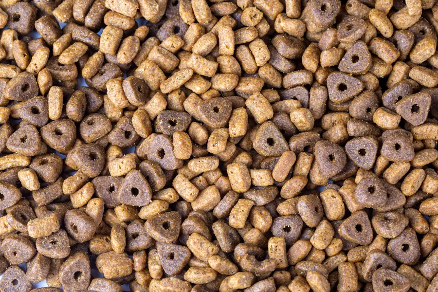Crunchy Pet Kibble — 150-piece jigsaw puzzle