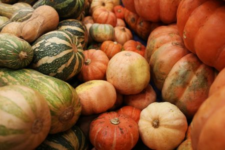 Harvest of Gourds — 100-piece jigsaw puzzle