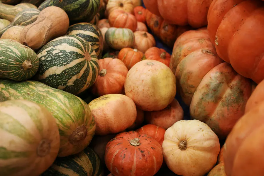 Harvest of Gourds — 100-piece jigsaw puzzle