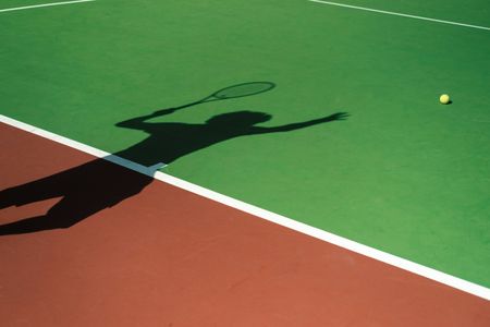 Shadow on Court — 400-piece jigsaw puzzle