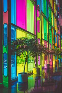 Rainbow Window Reflections — 300-piece jigsaw puzzle