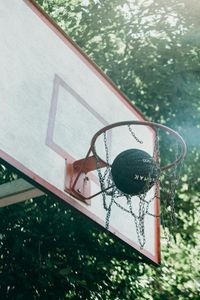 Rustic Basketball Hoop — 300-piece jigsaw puzzle