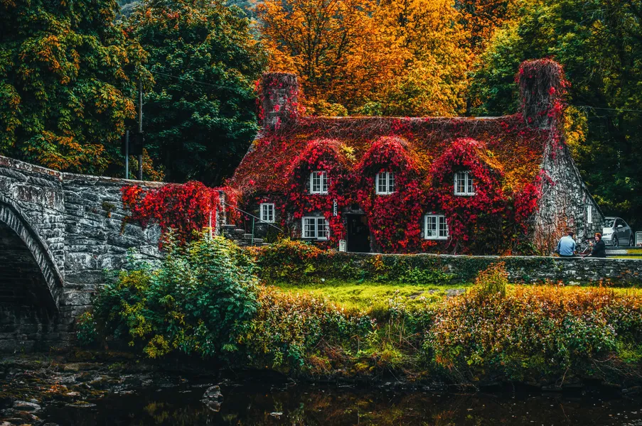 Autumn Cottage Charm — 200-piece jigsaw puzzle