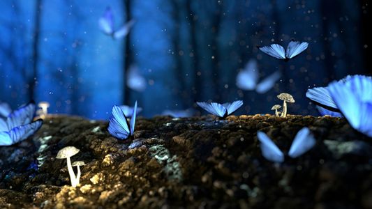 Mystical Forest Flight — 100-piece jigsaw puzzle