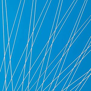 Web of Lines — 300-piece jigsaw puzzle