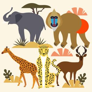 Wildlife Collage — 300-piece jigsaw puzzle