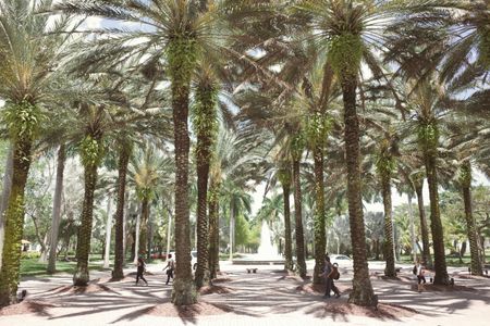 Palm Oasis Avenue — 400-piece jigsaw puzzle