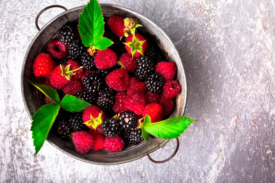 Bountiful Berry Bowl — 500-piece jigsaw puzzle