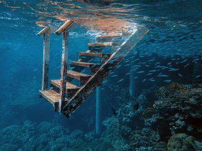 Submerged Stairway — 300-piece jigsaw puzzle