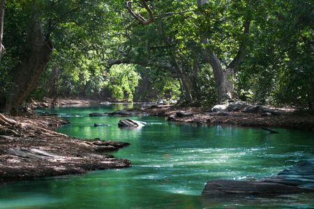 Serene Forest Stream — 150-piece jigsaw puzzle