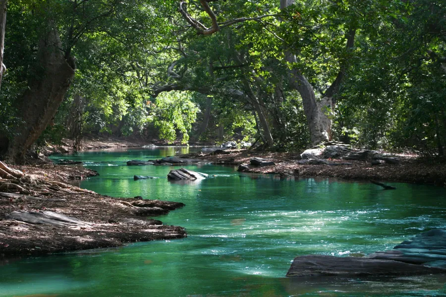 Serene Forest Stream — 150-piece jigsaw puzzle