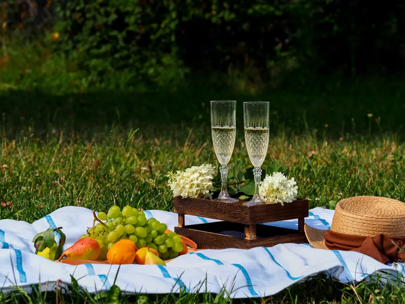 Summer Picnic Delight — 200-piece jigsaw puzzle