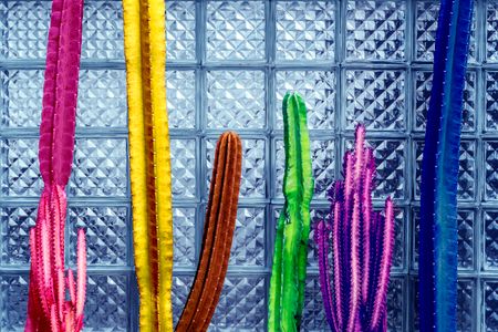 Vibrant Cactus Display — 100-piece jigsaw puzzle