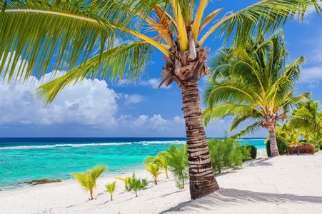 Tropical Paradise Escape — 400-piece jigsaw puzzle