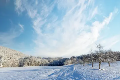 Winter's Quiet Beauty — 400-piece jigsaw puzzle