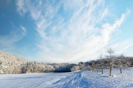 Winter's Quiet Beauty — 400-piece jigsaw puzzle