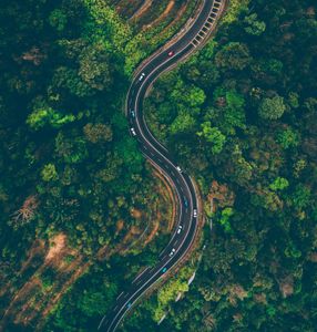 Winding Forest Road — 300-piece jigsaw puzzle