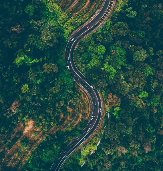 Winding Forest Road — 300-piece jigsaw puzzle