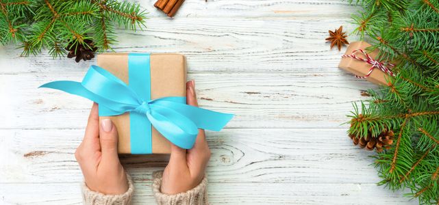 Holiday Gift Surprise — 200-piece jigsaw puzzle