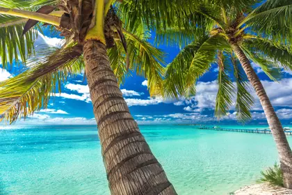 Tropical Paradise View — 100-piece jigsaw puzzle