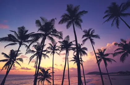 Tropical Sunset Silhouette — 150-piece jigsaw puzzle