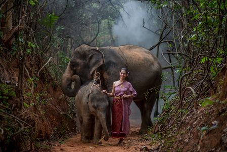 Harmony in the Jungle — 300-piece jigsaw puzzle