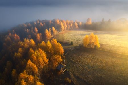 Golden Autumn Glow — 300-piece jigsaw puzzle