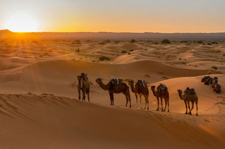 Sunset Over Desert — 150-piece jigsaw puzzle