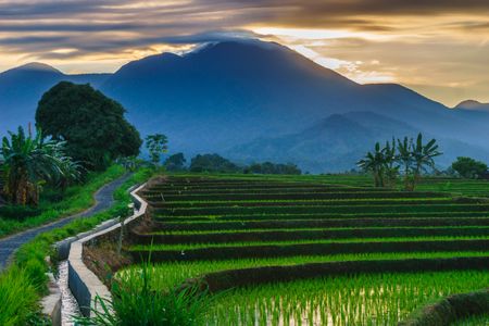 Sunset Over Rice Terraces — 200-piece jigsaw puzzle