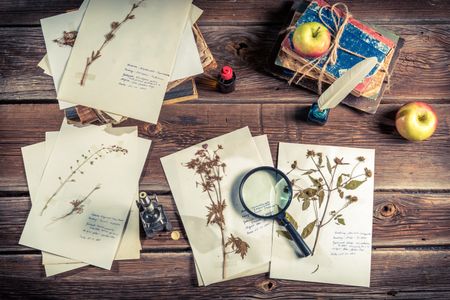 Vintage Herbarium Collection — 64-piece jigsaw puzzle
