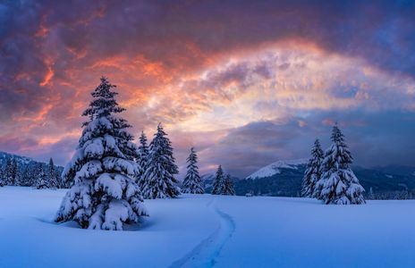 Winter Twilight Serenity — 100-piece jigsaw puzzle